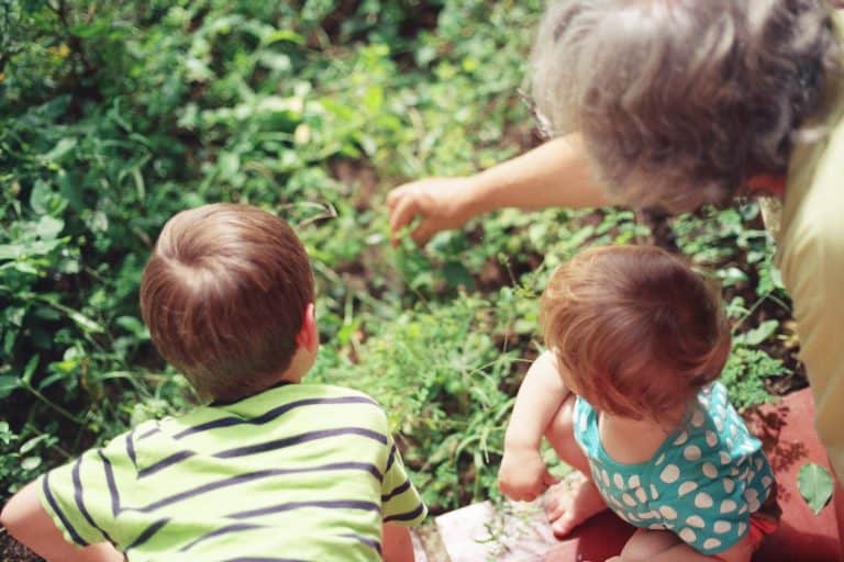 Grandmother and grandchildren playing in the garden